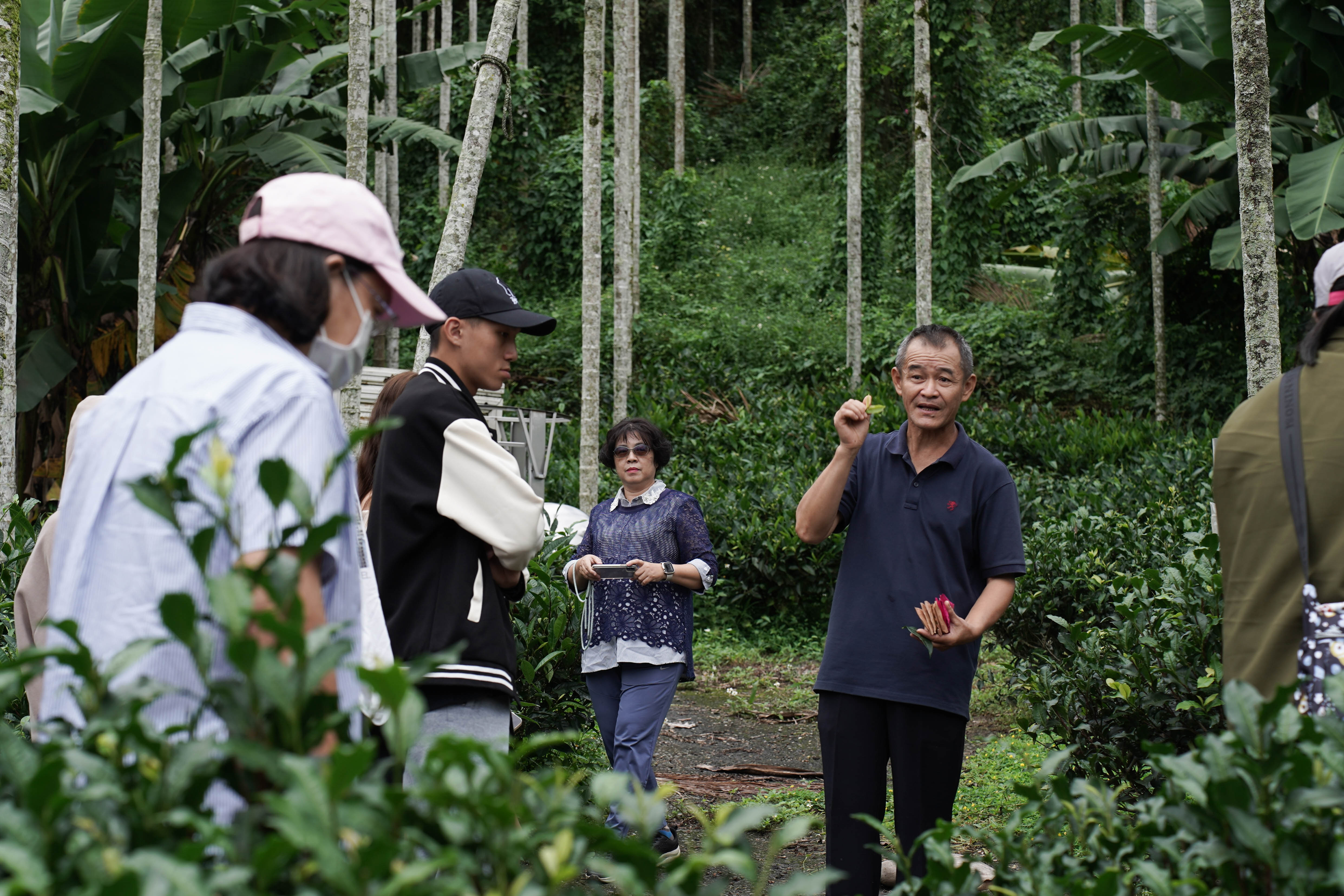 鄭川紅茶廠