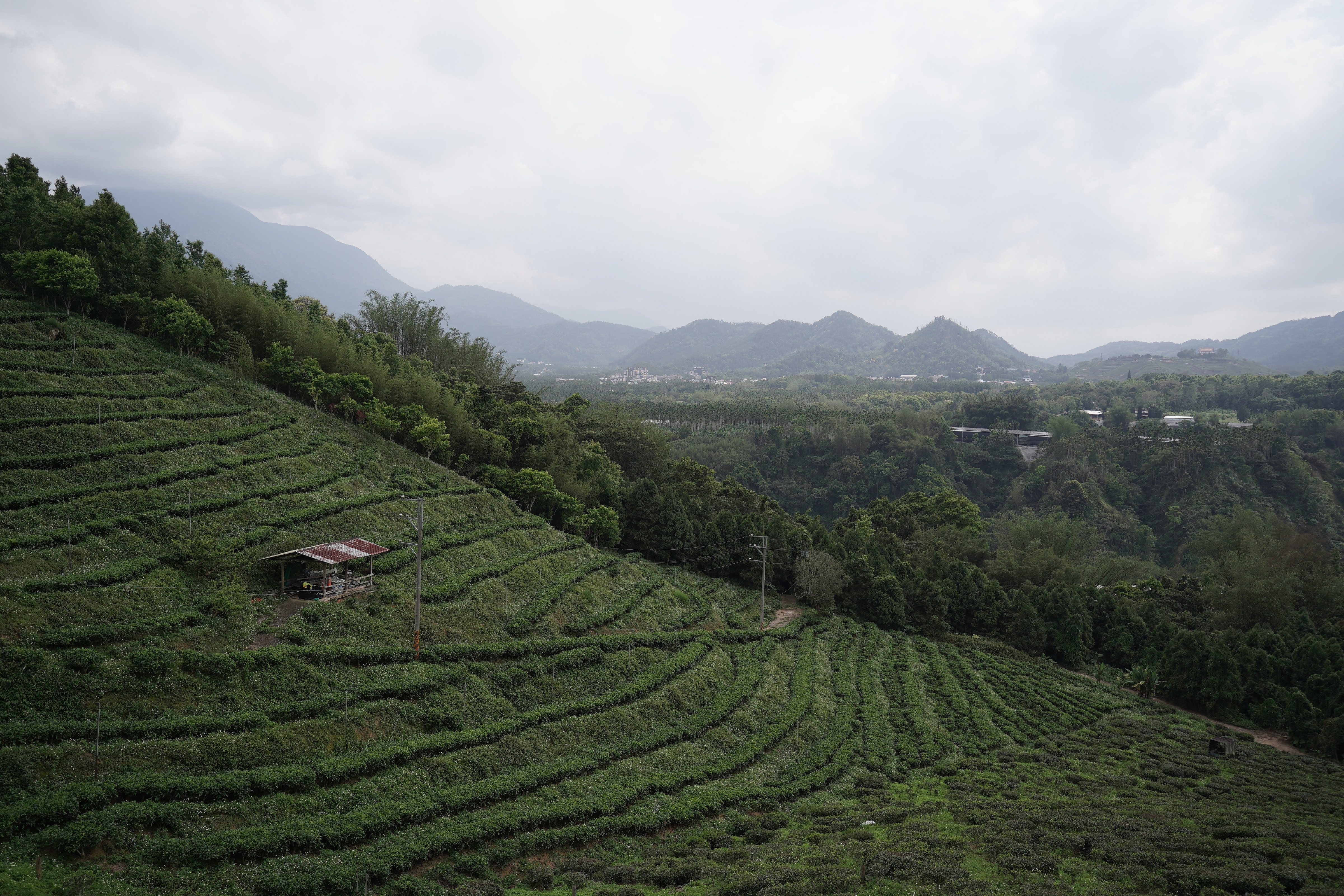 茶說旅行主視覺