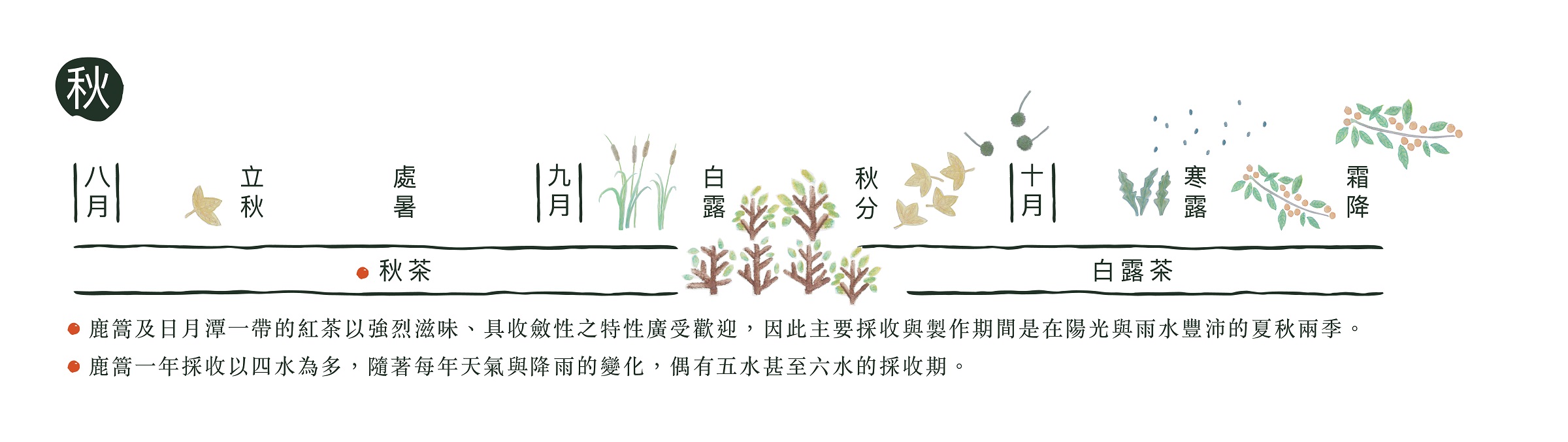 鹿篙秋季
